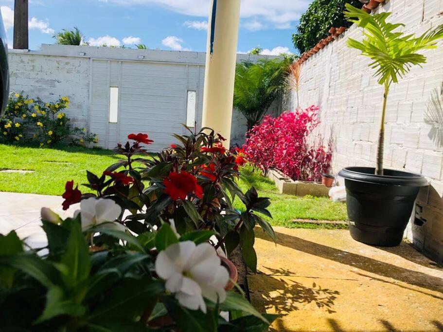 Casa Em Barreirinhas 01 Apartment Bagian luar foto